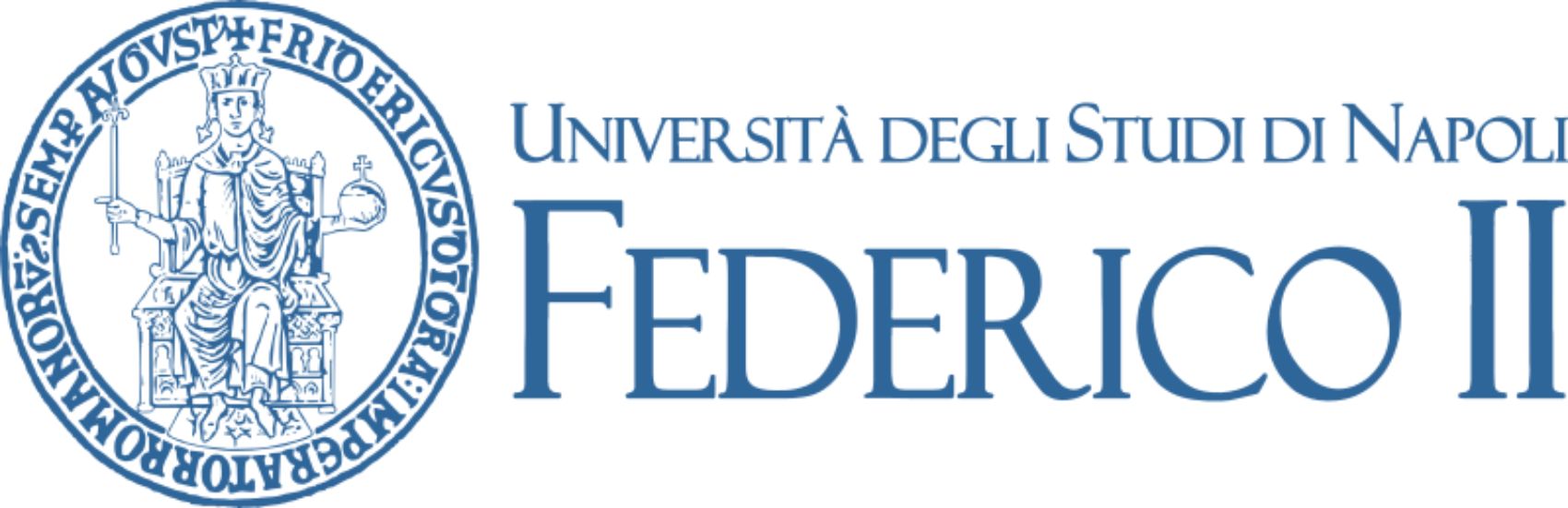 Cses italian collaboration Università Napoli logo