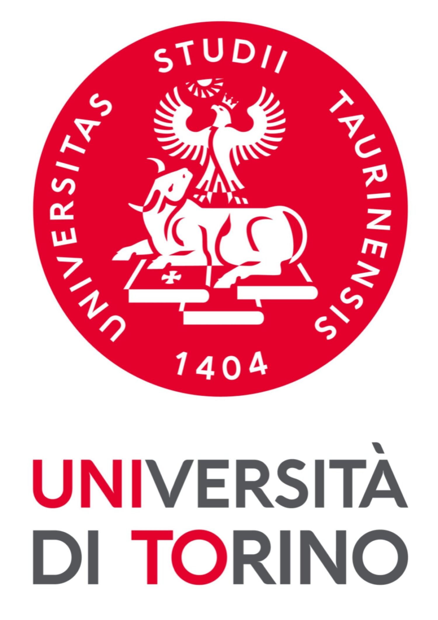 Cses italian collaboration Università Torino logo